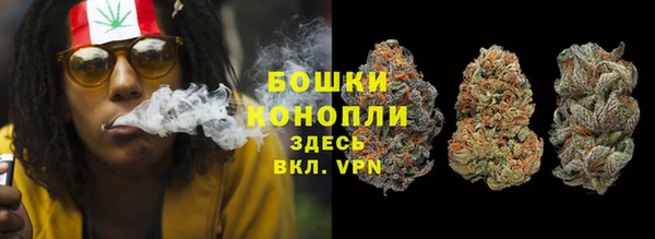 бошки Новозыбков