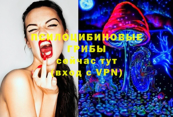 крисы Балахна
