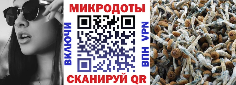где найти Короча Галлюциногенные грибы Cubensis